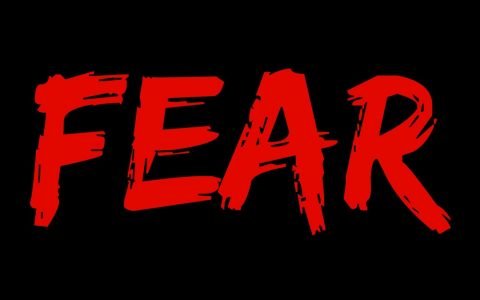Read more about the article When Fear Creates Paralyzes